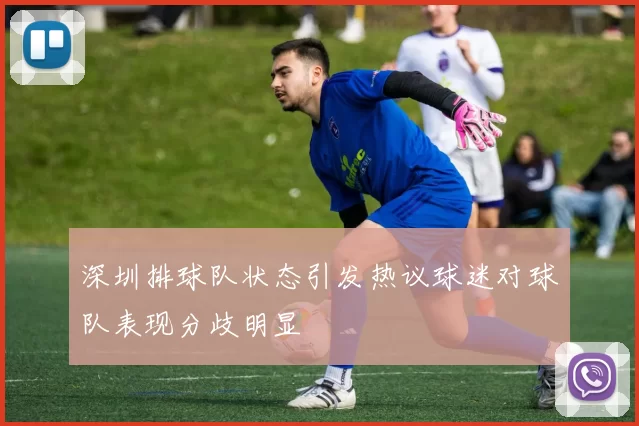 深圳排球队状态引发热议球迷对球队表现分歧明显