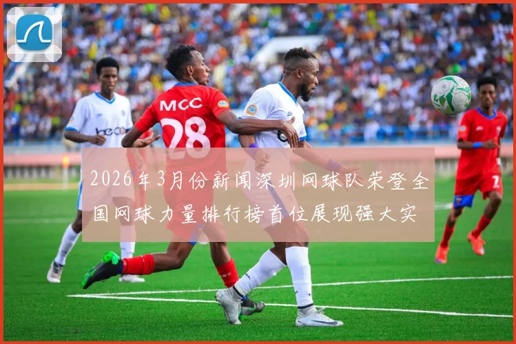 2026年3月份新闻深圳网球队荣登全国网球力量排行榜首位展现强大实力与团队精神