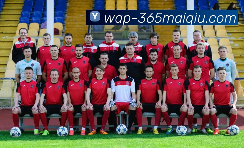 买球站平台生态图